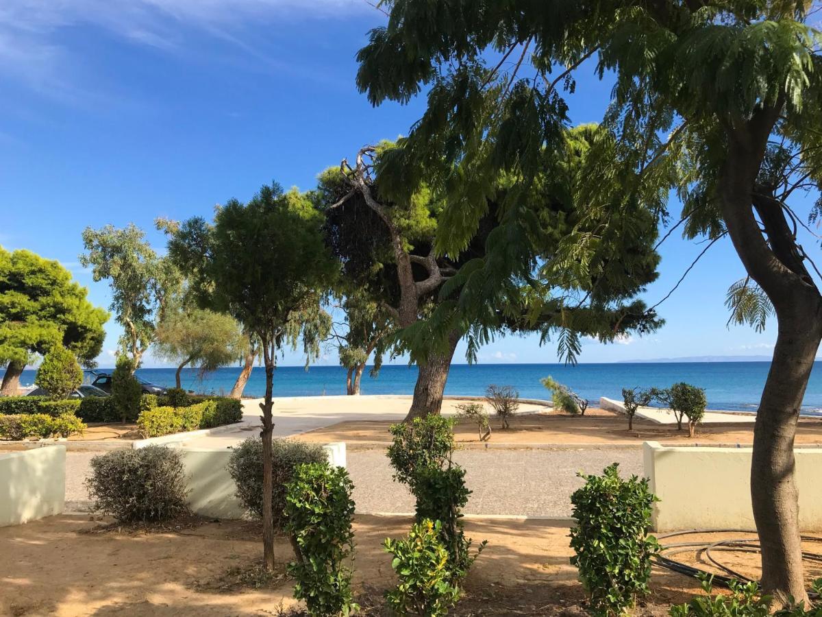 ארטמידה Marina Apartment מראה חיצוני תמונה